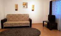 Apartament 1 camera, Pacurari, 44mp