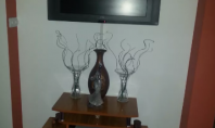 Apartament 2 camere, Tatarasi, 32mp