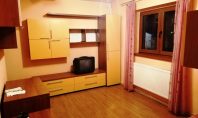 Apartament 1 camera, Tomesti, 26mp