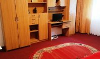 Apartament 1 camera, Frumoasa-Nicolina, 36mp