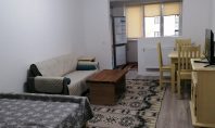 Apartament 1 camera, Pacurari, 40mp