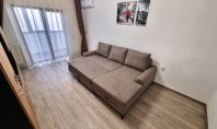 Apartament 1 camera, Pacurari, 38mp