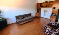 Apartament 1 camera, Podu de Fier, 36mp