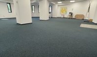 Spatiu Birouri, PARTER, Nicolina, 120mp