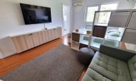Apartament 1 camera, Podu de Fier, 34mp