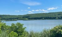 Teren intravilan, Podu Iloaiei, 770mp